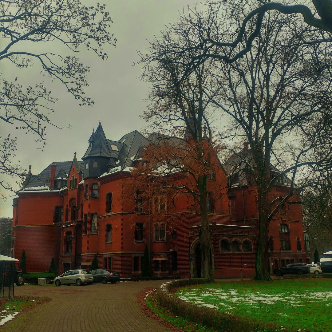 20210109_135443_HDR